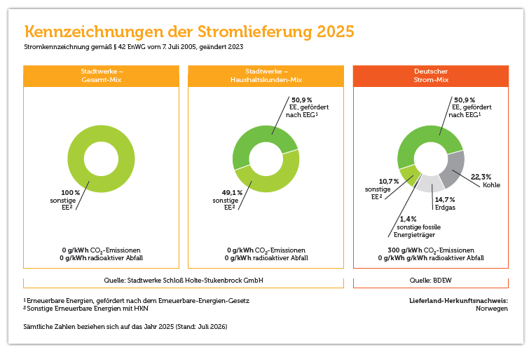 Kennzeichnung der Stromlieferung 2021
